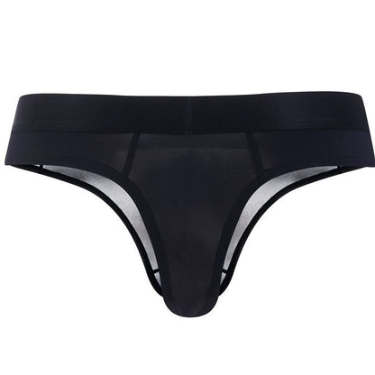 Sexy Semi Sheer Mens Thongs