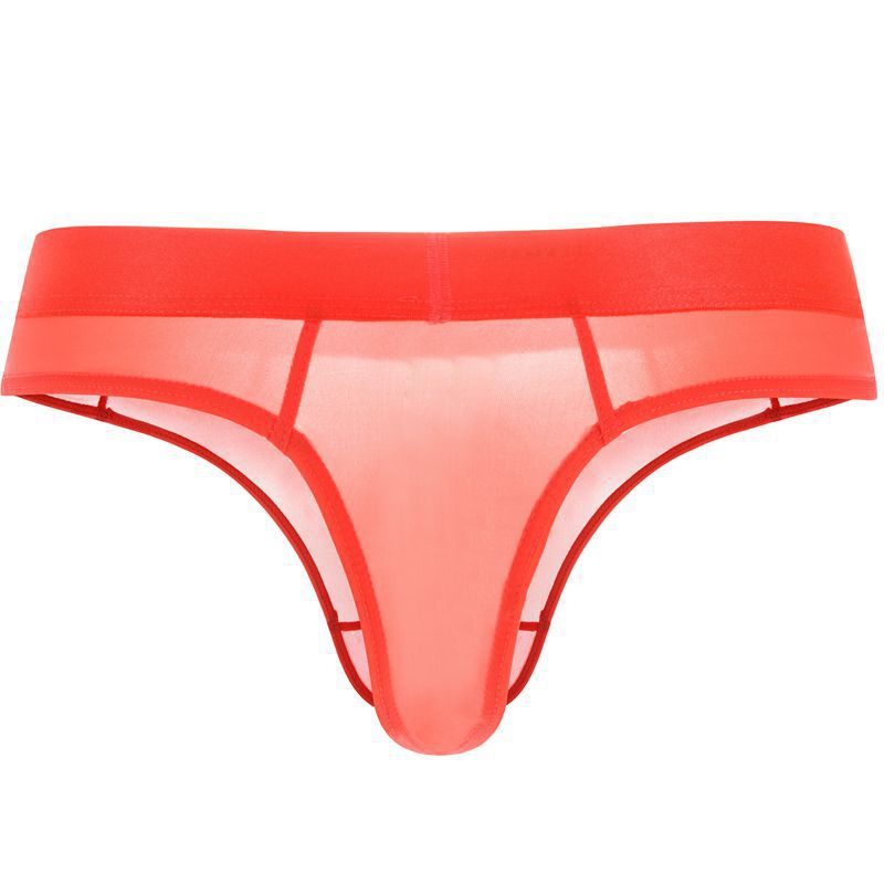 Sexy Semi Sheer Mens Thongs