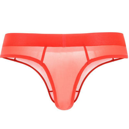 Sexy Semi Sheer Mens Thongs