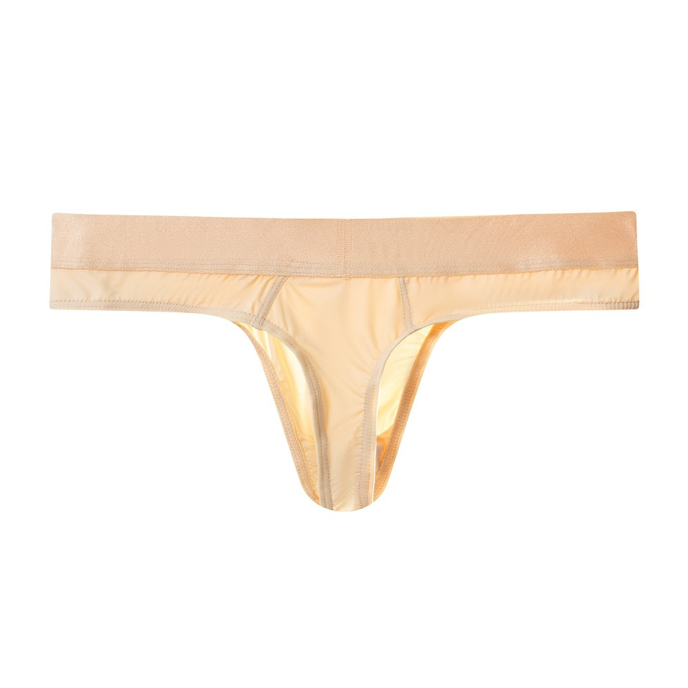 Sexy Semi Sheer Mens Thongs