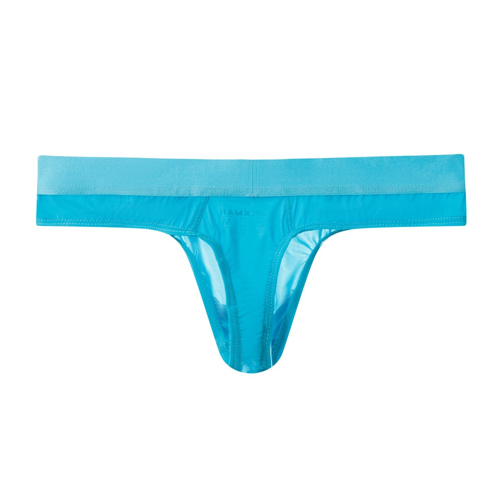 Sexy Semi Sheer Mens Thongs