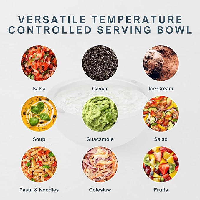 Stainless Steel Dip Chiller Bowl Serving Bowl with Double Walled Ice