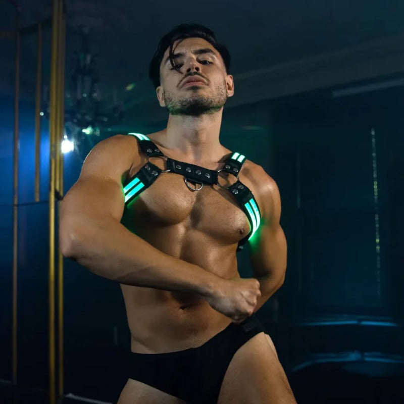 Glow H-Chest Harness (LED)